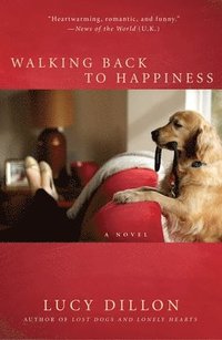 bokomslag Walking Back to Happiness
