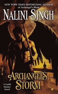 bokomslag Archangel's Storm