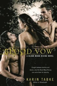 bokomslag Blood Vow