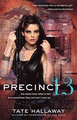 Precinct 13 1