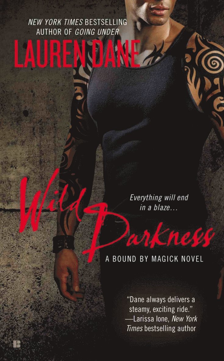 Lauren Dane - Wild Darkness, Häftad