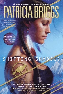 bokomslag Shifting Shadows