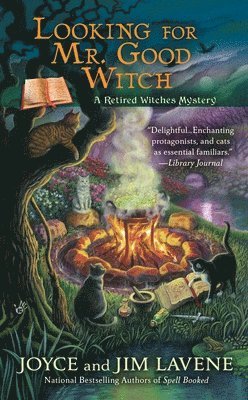 Looking for Mr. Good Witch 1