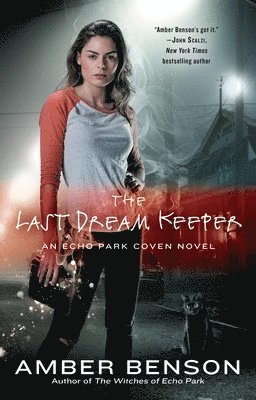 The Last Dream Keeper 1