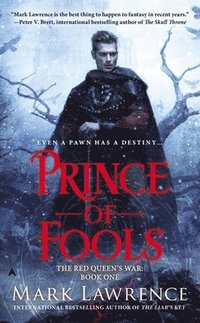 bokomslag Prince Of Fools