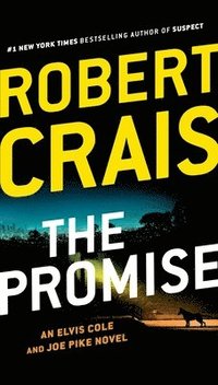 bokomslag The Promise