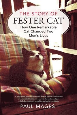 The Story of Fester Cat 1