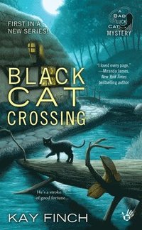 bokomslag Black Cat Crossing