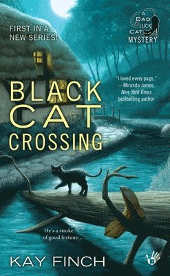 bokomslag Black Cat Crossing