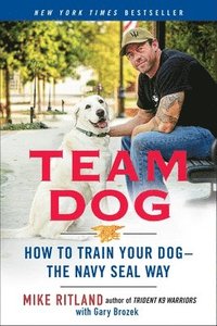 bokomslag Team Dog