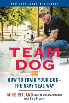 Team Dog 1