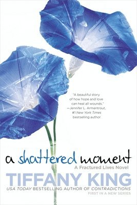 Shattered Moment