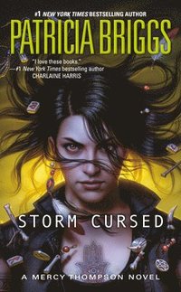 bokomslag Storm Cursed