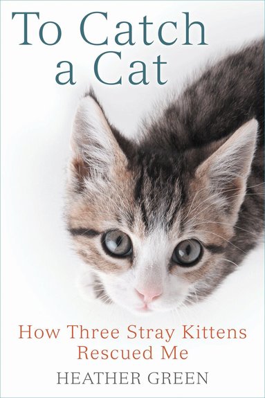 Heather Green - To Catch a Cat, Häftad