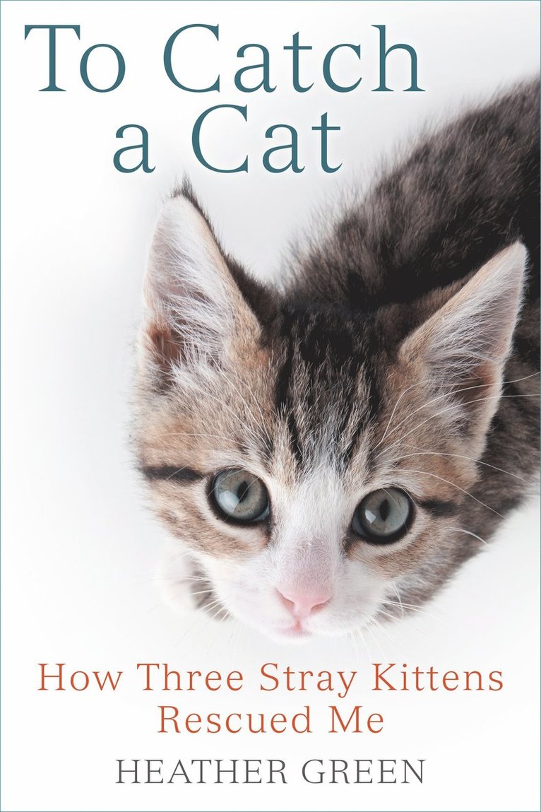 Heather Green - To Catch a Cat, Häftad