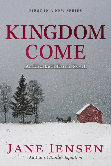 bokomslag Kingdom Come