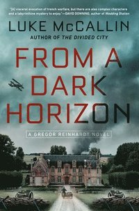 bokomslag From a Dark Horizon