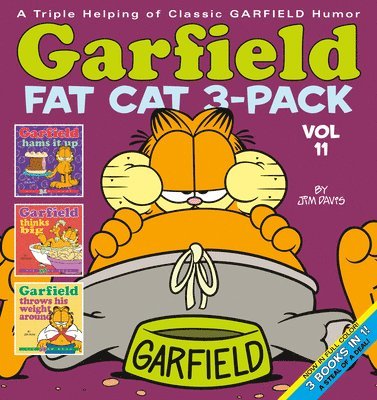 Garfield Fat Cat 3-Pack #11 1