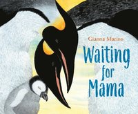 bokomslag Waiting for Mama
