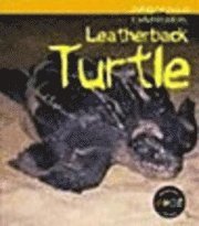 bokomslag Leatherback Turtle
