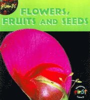 bokomslag Flowers  Fruits and Seeds