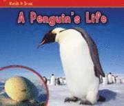 bokomslag A Penguin's Life