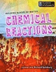 bokomslag Chemical Reactions