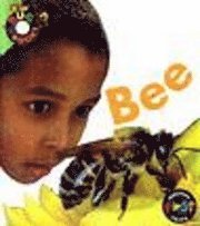 Bee 1