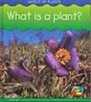 What Is A Plant? 1