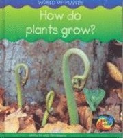 bokomslag How Do Plants Grow?