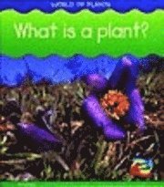 What is a Plant? 1