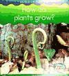 bokomslag How Do Plants Grow?
