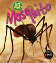 Mosquito 1