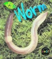 bokomslag Worm