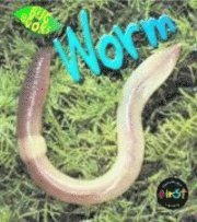 Worm 1