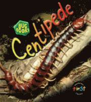 bokomslag Centipede