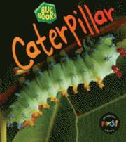 bokomslag Caterpillar