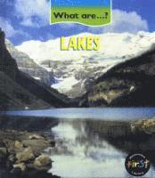 bokomslag What Are Lakes?          (Cased)