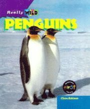 bokomslag Penguins