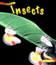 bokomslag Insects