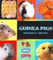 bokomslag Guinea Pigs