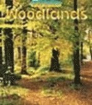 bokomslag Woodlands