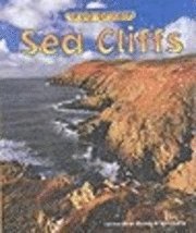 bokomslag Sea Cliffs