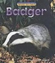 bokomslag Badger