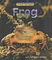 bokomslag Frog