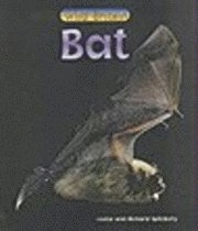 bokomslag Bat
