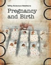 bokomslag Pregnancy and Birth