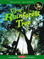 bokomslag Up A Rainforest Tree