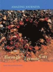 bokomslag Through a Termite City