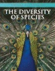 bokomslag The Diversity of Species